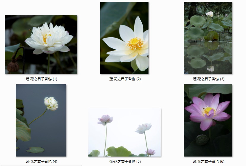 1724985511309889.png 3333.png