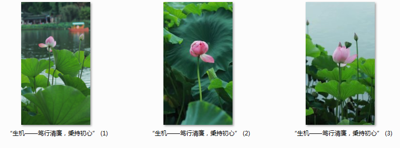 1724985899718731.png 5555.png