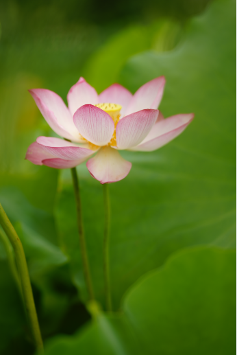 1724986174720650.png 9999.png