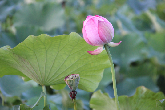 1724986305469422.png 1111111111111111.png