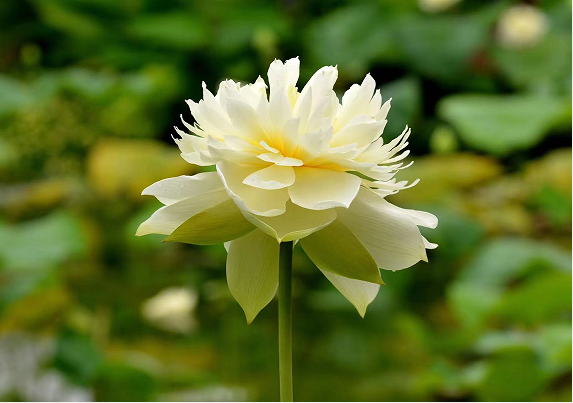 1724986508628540.png 0000000000000.png